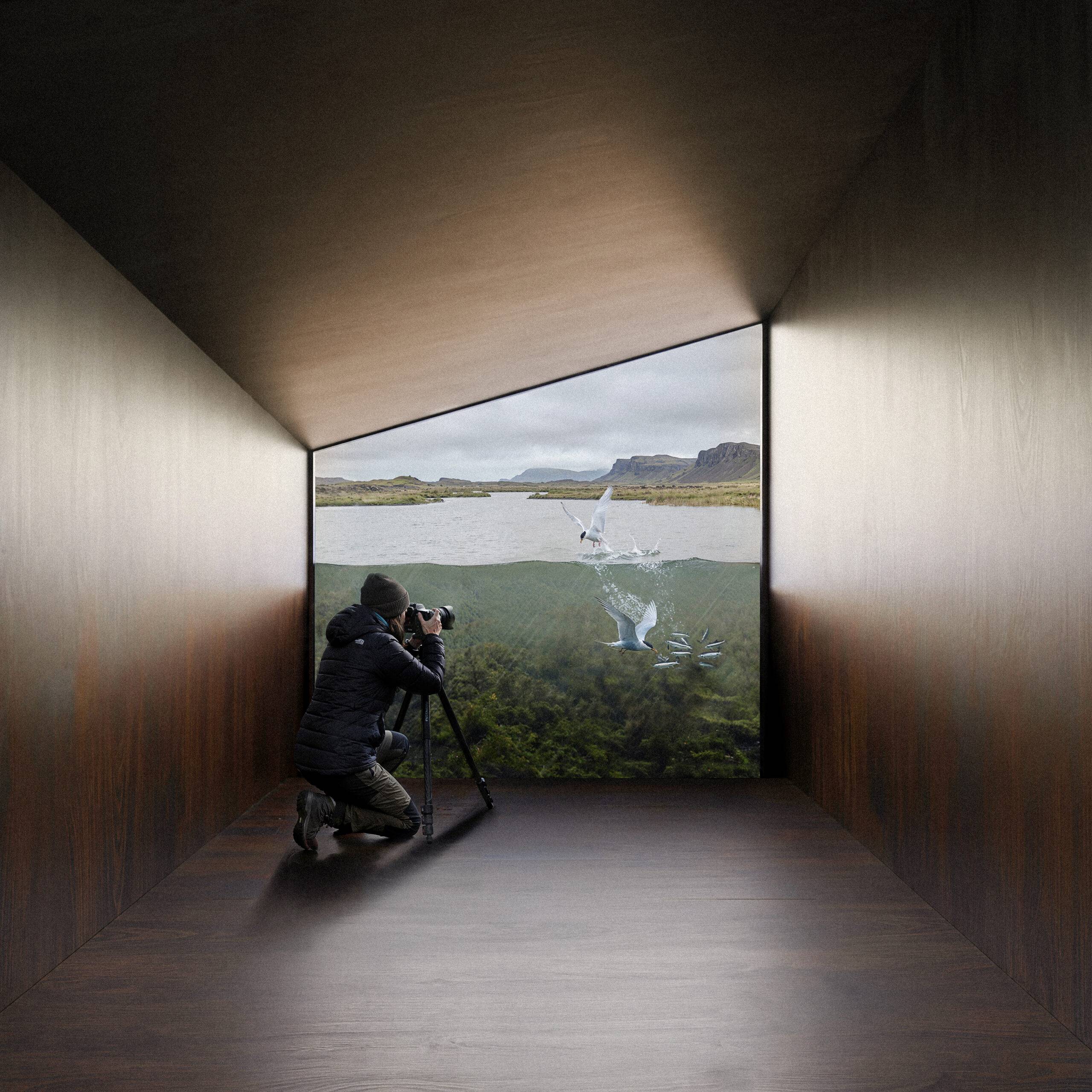 Perspective 3D concours architecture conceptuelle de Pierzo montrant une vue en coupe mi-air mi-eau avec des oiseaux plongeurs.